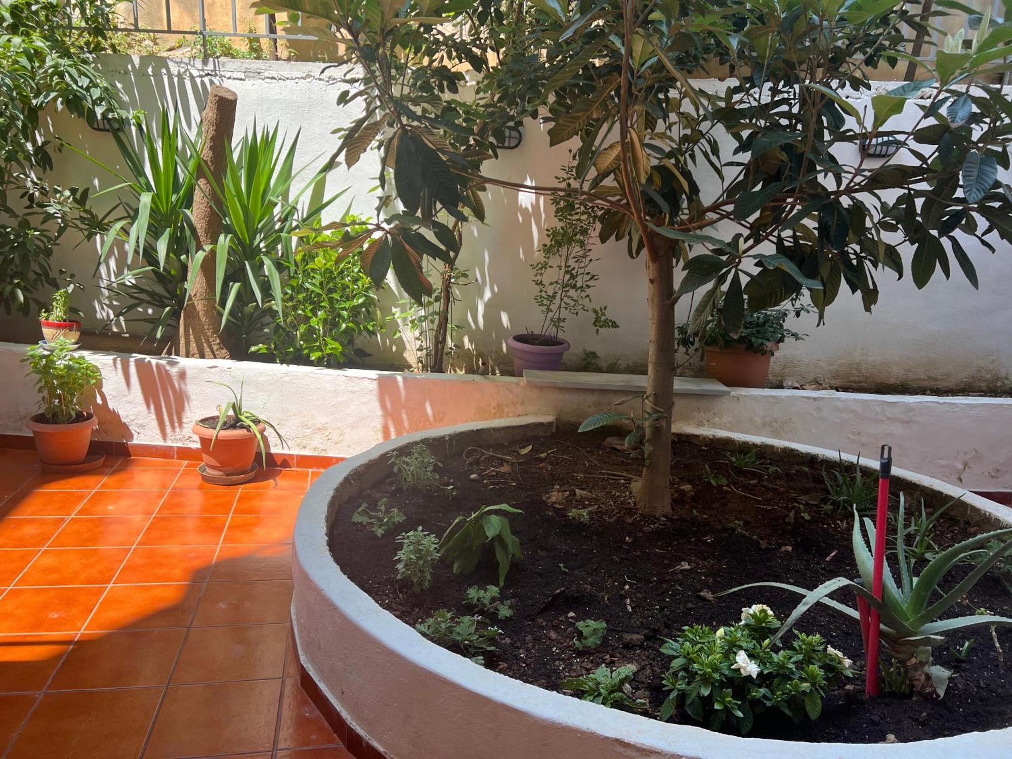 Athens Studio Ngoại thất bức ảnh